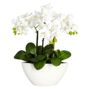 Nearly Natural 4804 Phalaenopsis Silk Flower Arrangement, White